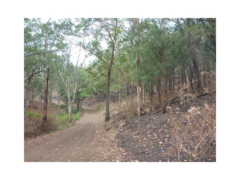 Lot 223 Cole Gully Rd, Lefthand Branch QLD 4343
