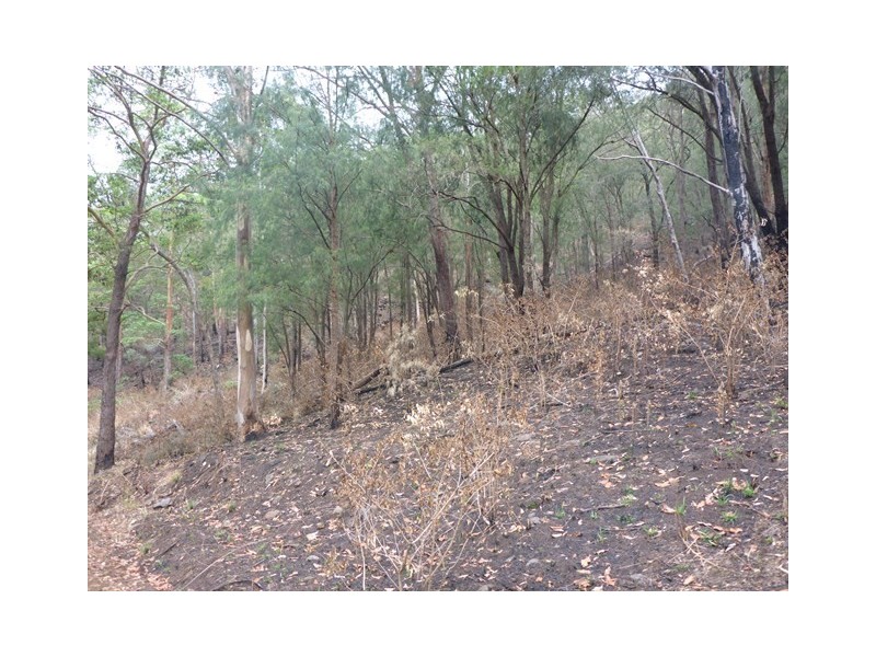 Lot 223 Cole Gully Rd, Lefthand Branch QLD 4343
