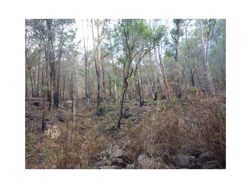 Lot 223 Cole Gully Rd, Lefthand Branch QLD 4343