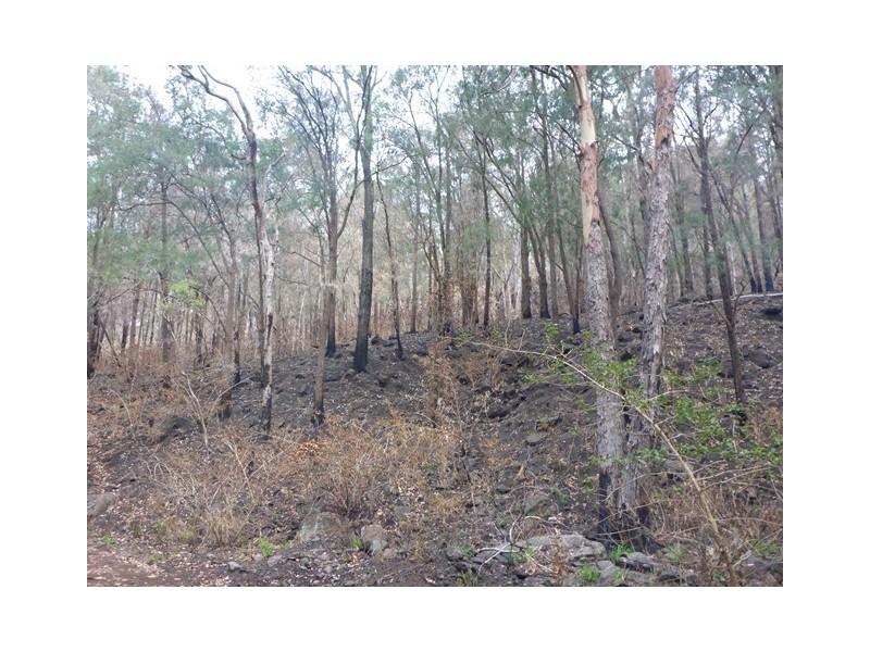 Lot 223 Cole Gully Rd, Lefthand Branch QLD 4343