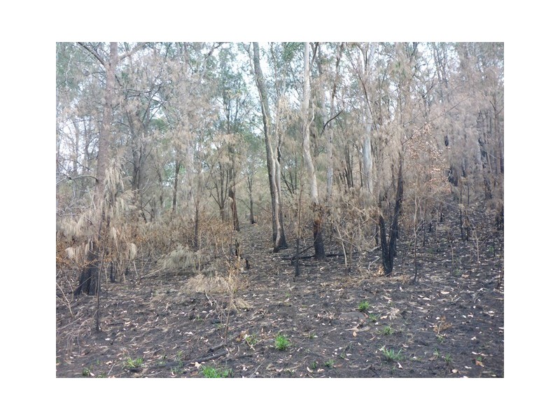 Lot 223 Cole Gully Rd, Lefthand Branch QLD 4343