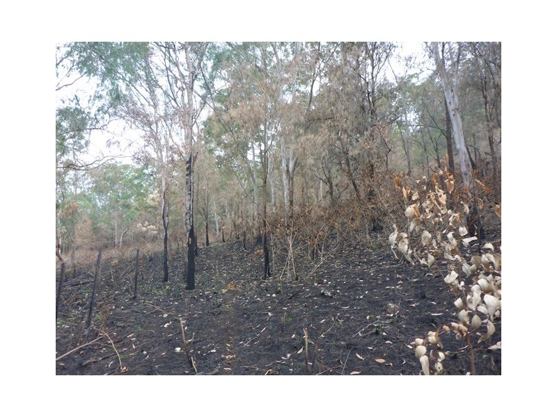 Lot 223 Cole Gully Rd, Lefthand Branch QLD 4343