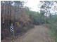 Lot 223 Cole Gully Rd, Lefthand Branch QLD 4343