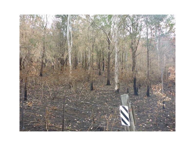 Lot 223 Cole Gully Rd, Lefthand Branch QLD 4343