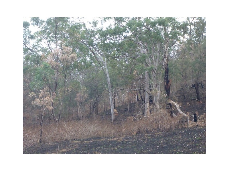 Lot 223 Cole Gully Rd, Lefthand Branch QLD 4343