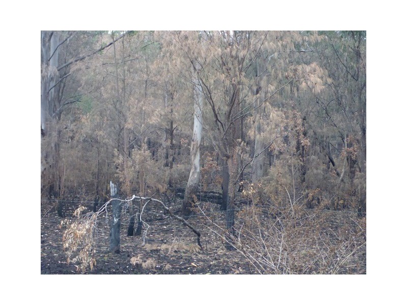 Lot 223 Cole Gully Rd, Lefthand Branch QLD 4343