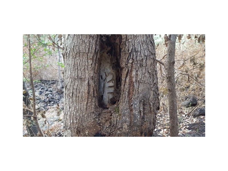 Lot 223 Cole Gully Rd, Lefthand Branch QLD 4343