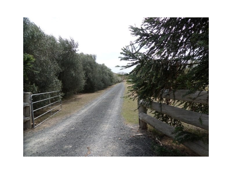 94 ROSENBERG ROAD, Ma Ma Creek QLD 4347