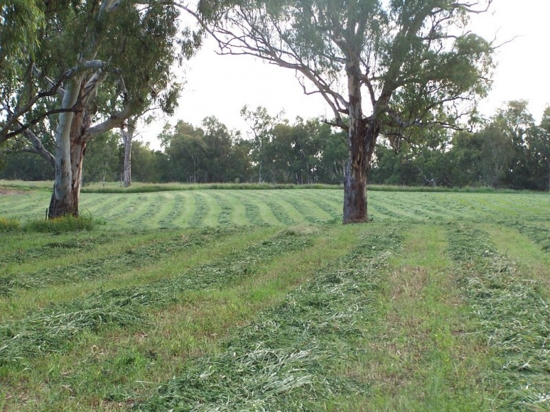 1291 TEXAS-YELARBON ROAD, Smithlea QLD 4385