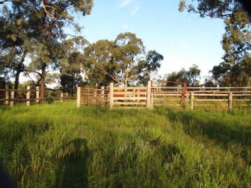 1291 TEXAS-YELARBON ROAD, Smithlea QLD 4385