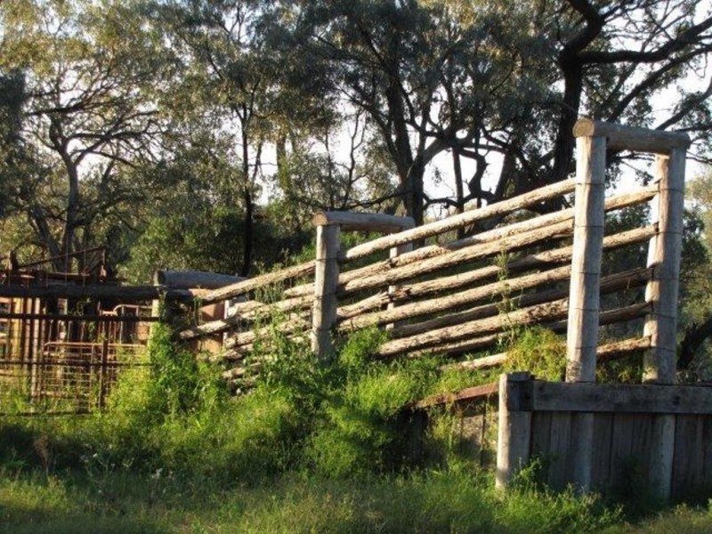 1291 TEXAS-YELARBON ROAD, Smithlea QLD 4385