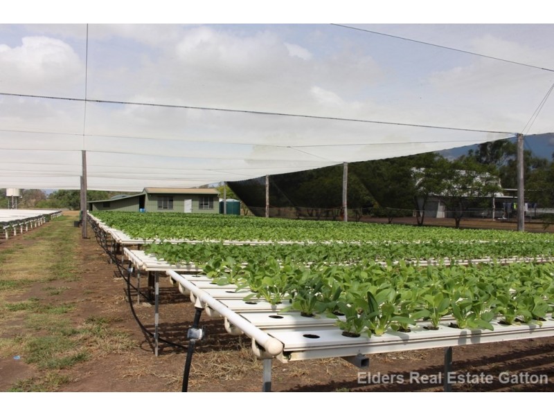 152 BACK FLAGSTONE ROAD, Iredale QLD 4344