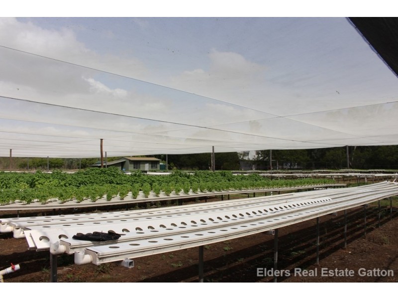 152 BACK FLAGSTONE ROAD, Iredale QLD 4344