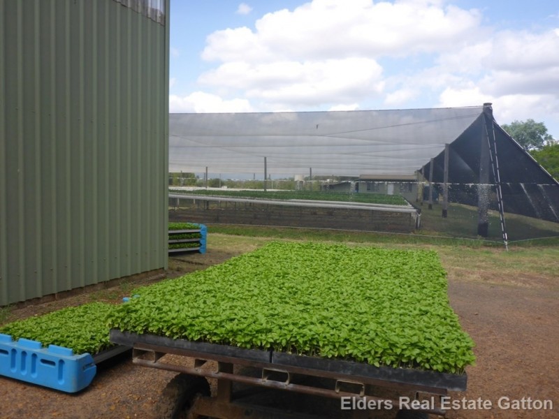 152 BACK FLAGSTONE ROAD, Iredale QLD 4344