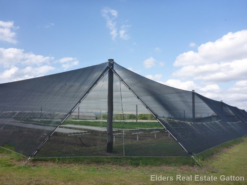 152 BACK FLAGSTONE ROAD, Iredale QLD 4344