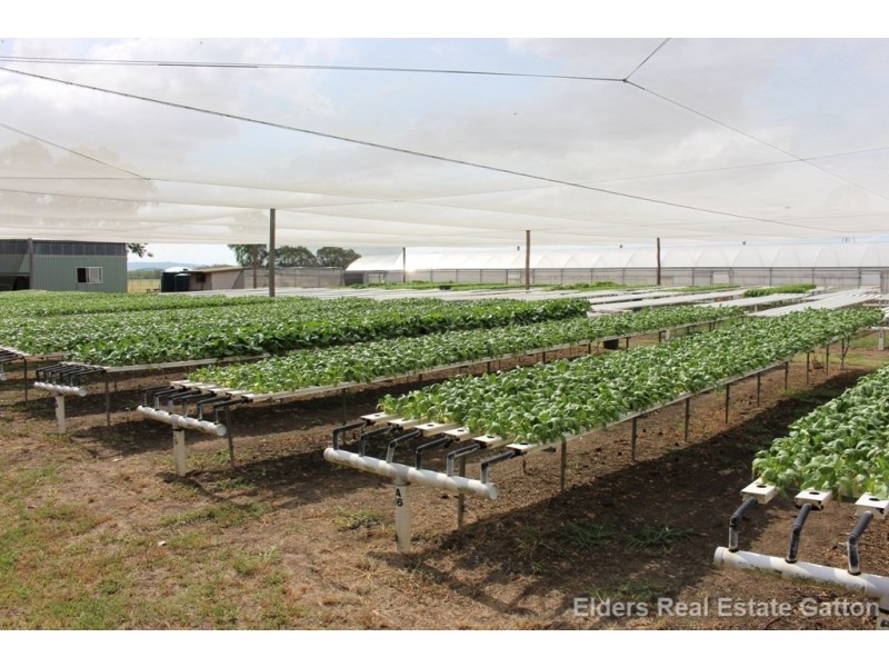 152 BACK FLAGSTONE ROAD, Iredale QLD 4344