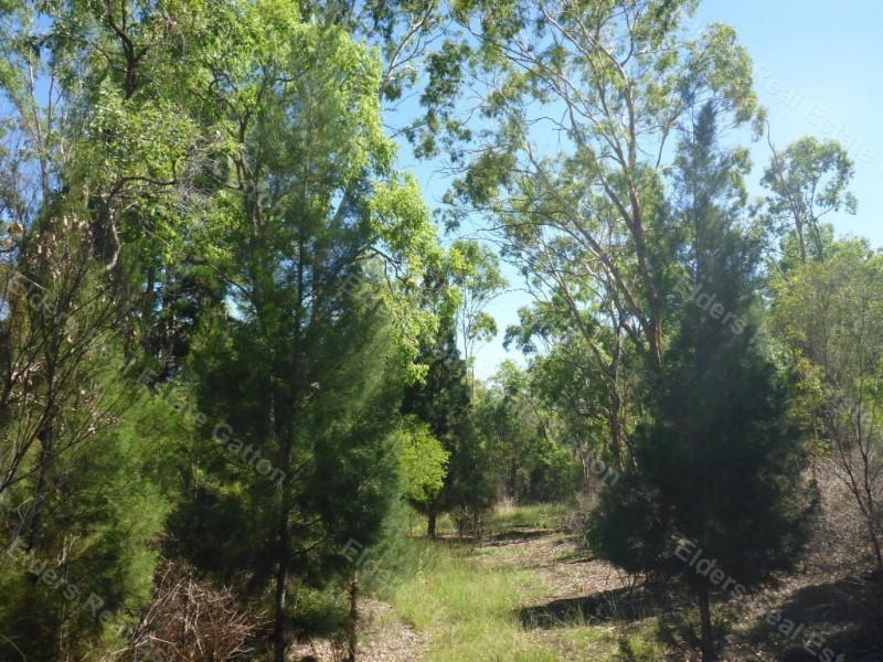 130 GOLTZ ROAD, Black Duck Creek QLD 4343