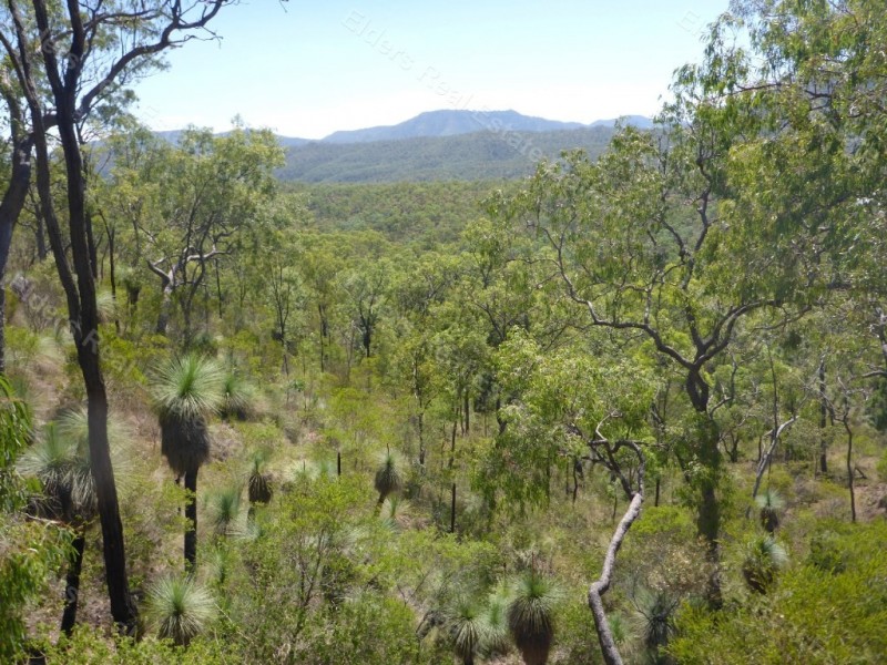 130 GOLTZ ROAD, Black Duck Creek QLD 4343