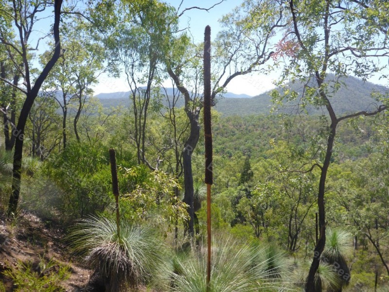 130 GOLTZ ROAD, Black Duck Creek QLD 4343