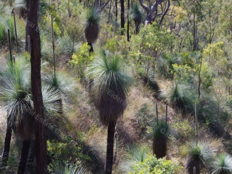 130 GOLTZ ROAD, Black Duck Creek QLD 4343