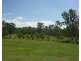 35 Gumtip Dr, Adare QLD 4343
