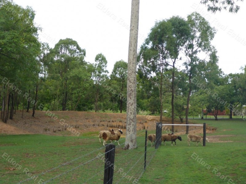 79 BRIGALOW STREET, Placid Hills QLD 4343