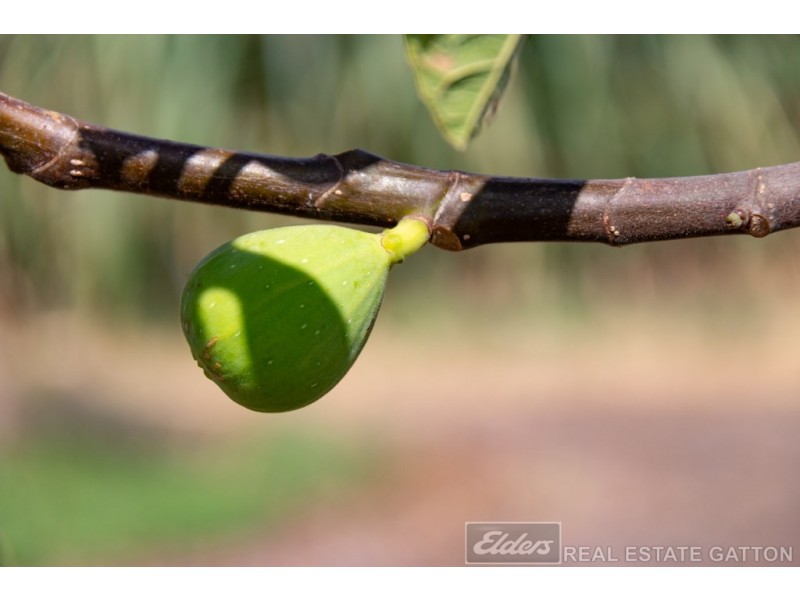 32 Greenswamp Road East, Morton Vale QLD 4343