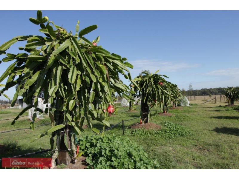 32 Greenswamp Road East, Morton Vale QLD 4343