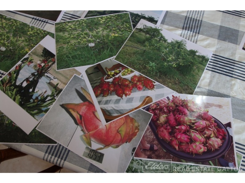 32 Greenswamp Road East, Morton Vale QLD 4343