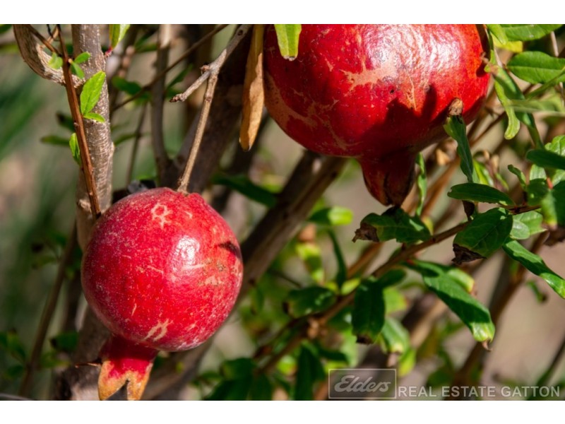 32 Greenswamp Road East, Morton Vale QLD 4343