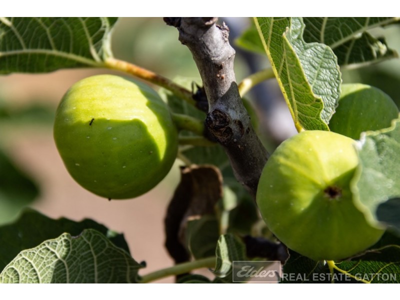 32 Greenswamp Road East, Morton Vale QLD 4343