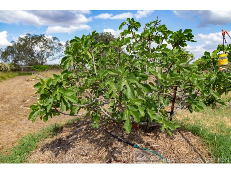 32 Greenswamp Road East, Morton Vale QLD 4343