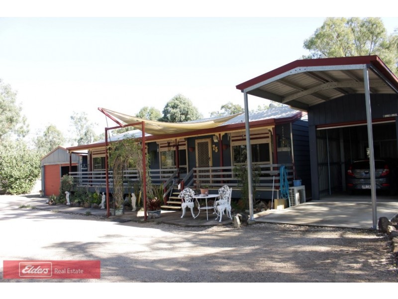 75 Cricket Road, Regency Downs QLD 4341