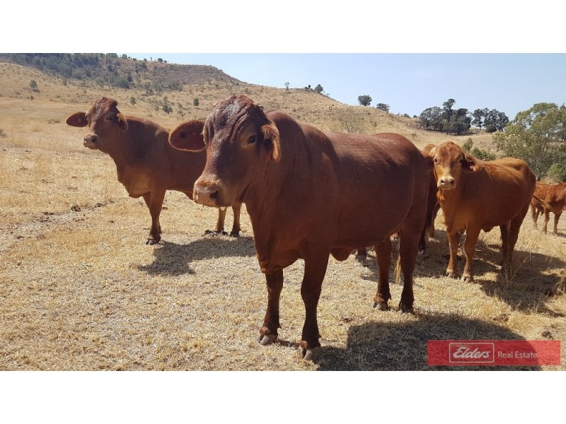 Lot 4 East Egypt Rd, Mount Whitestone QLD 4347