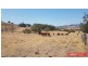 Lot 4 East Egypt Rd, Mount Whitestone QLD 4347