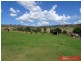 179 Scotts Road, Veradilla QLD 4347