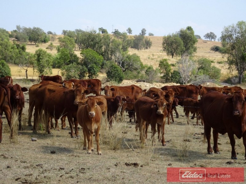 179 Scotts Road, Veradilla QLD 4347