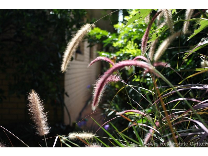 3 South Street, Gatton QLD 4343