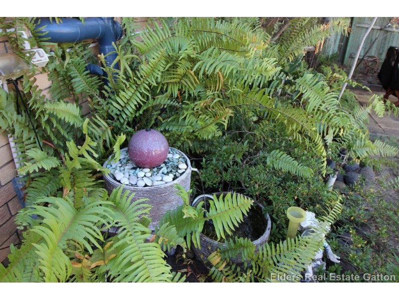 56 McKay Street, Gatton QLD 4343