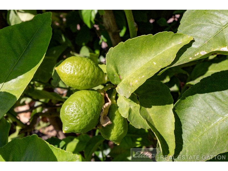 13 Lake Apex Drive, Gatton QLD 4343