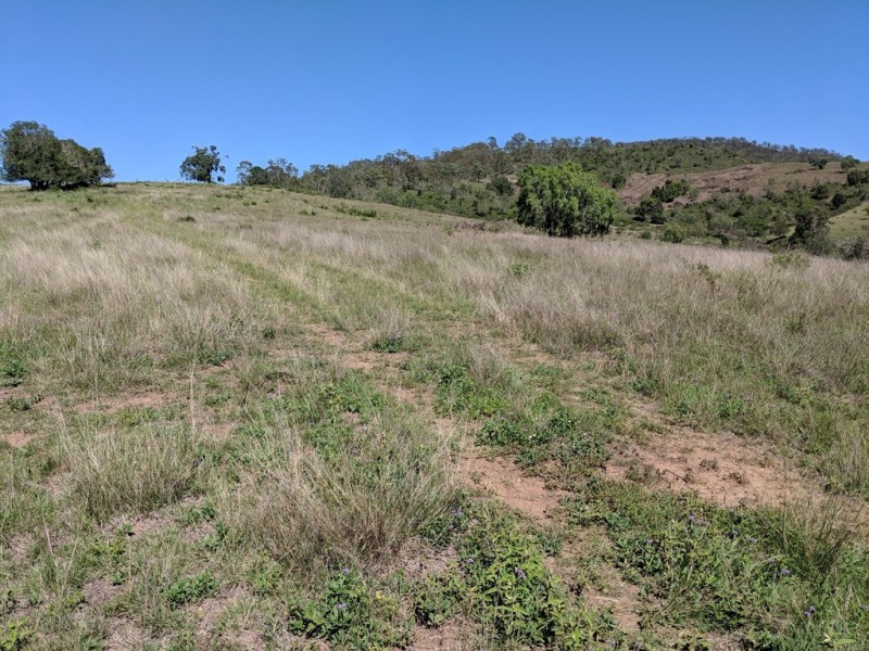 61 Cooks Road, West Haldon QLD 4359