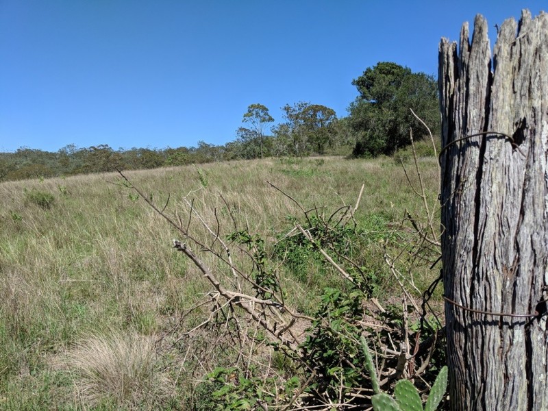 61 Cooks Road, West Haldon QLD 4359