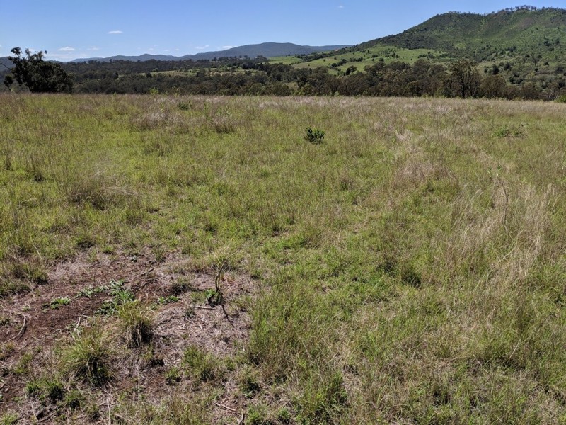 61 Cooks Road, West Haldon QLD 4359