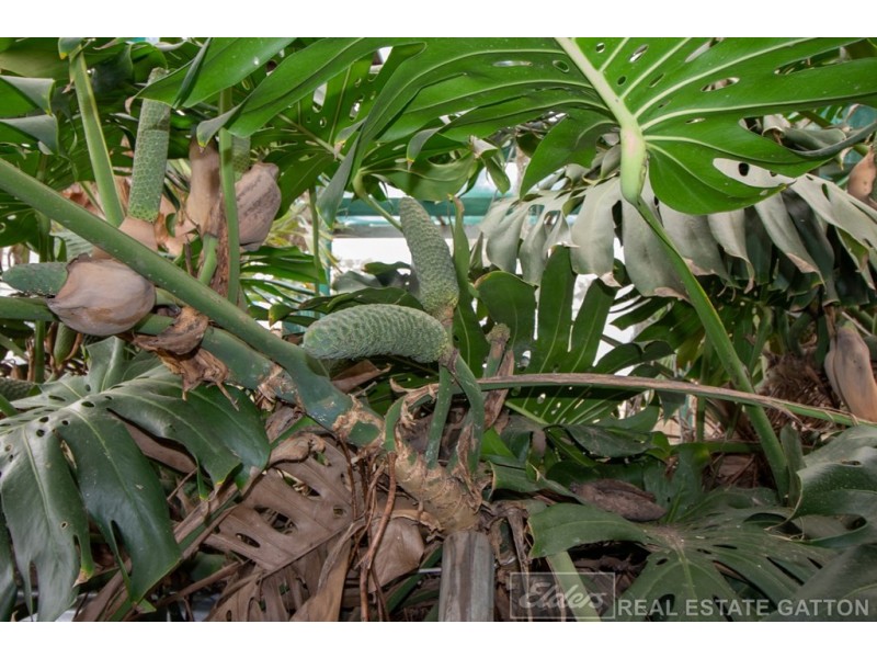 181 Lakes Drive, Laidley Heights QLD 4341