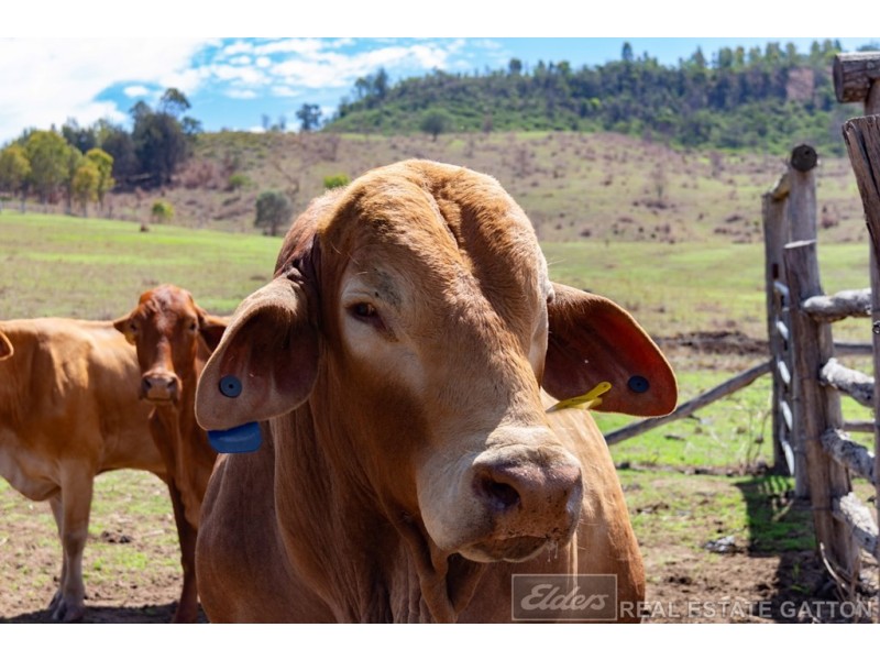Lot 4 East Egypt Rd, Mount Whitestone QLD 4347
