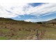 Lot 4 East Egypt Rd, Mount Whitestone QLD 4347