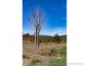 Lot 4 East Egypt Rd, Mount Whitestone QLD 4347