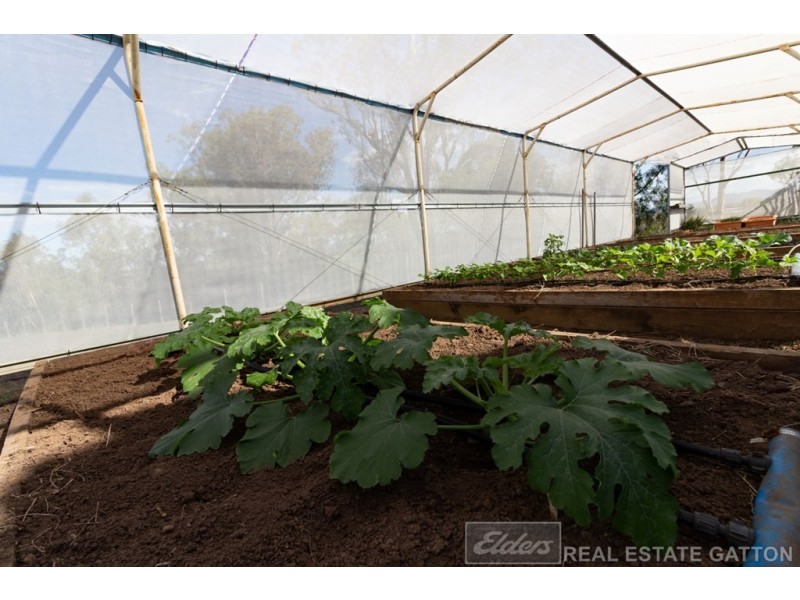 8 Jelisa Place, Placid Hills QLD 4343