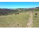 Lot 45 Cooks Road, West Haldon QLD 4359