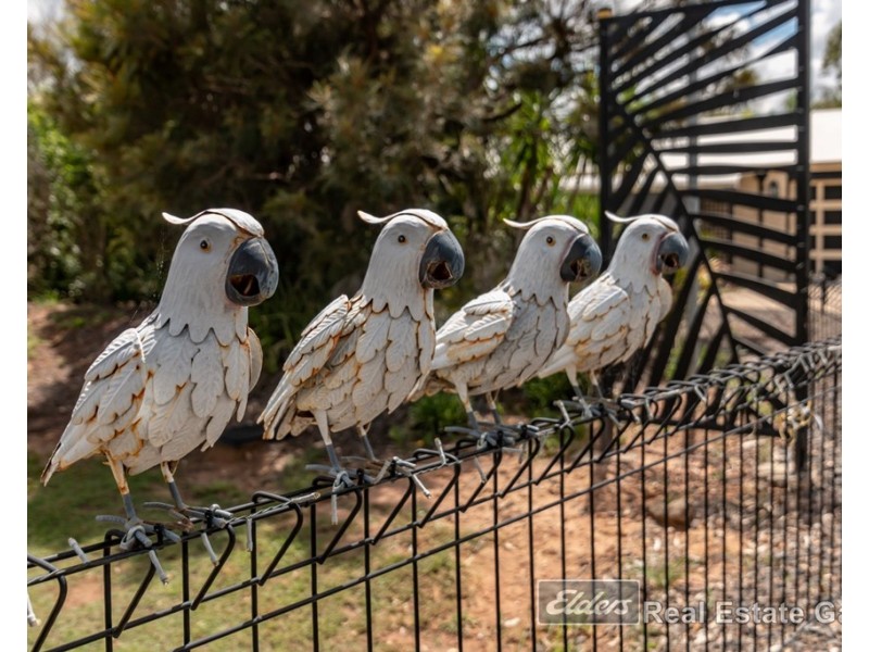 4 Cockatoo Drive, Adare QLD 4343